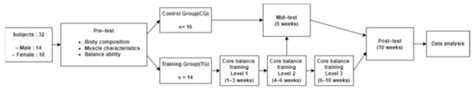 Effect of Core Balance Training on Muscle Tone and Balance Ability in ...