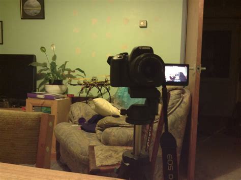 Raspberry Pi Night Light 的图像结果