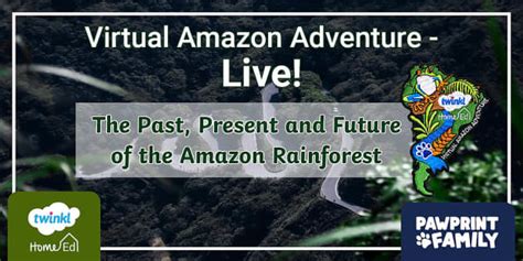 Past, Present & Future of the Amazon Rainforest | Home Ed