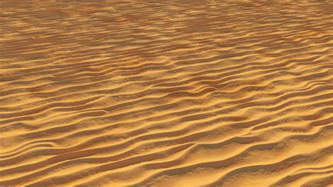 Sand Dune Texture