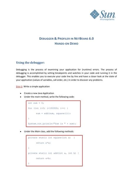 Netbean Debugger Tutorial 的图像结果