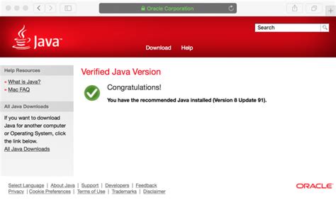 Manually Update Java 的图像结果