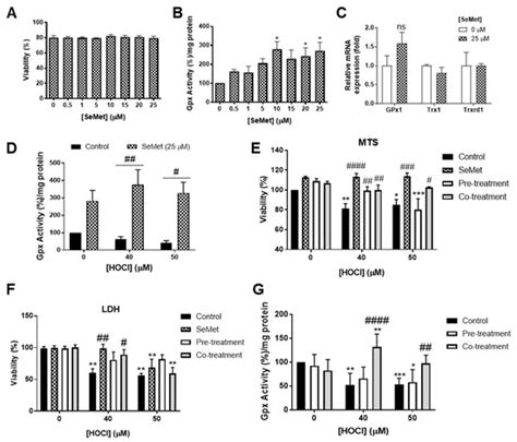Antioxidants | Special Issue : Anti-Inflammatory and Antioxidant ...