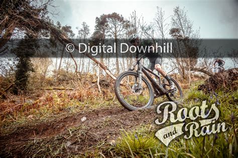 Untagged photo - Roots & Rain