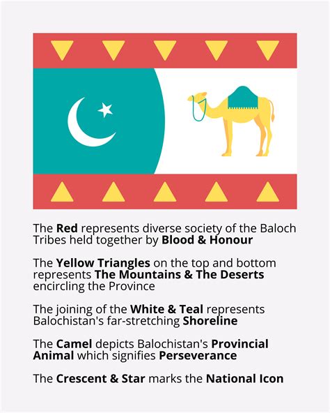 Current & Proposed designs of the sub-national flags of Pakistan (14 pics) : r/pakistan