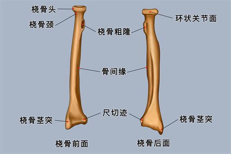 Image result for Difference in Difference Approach Example Diagram