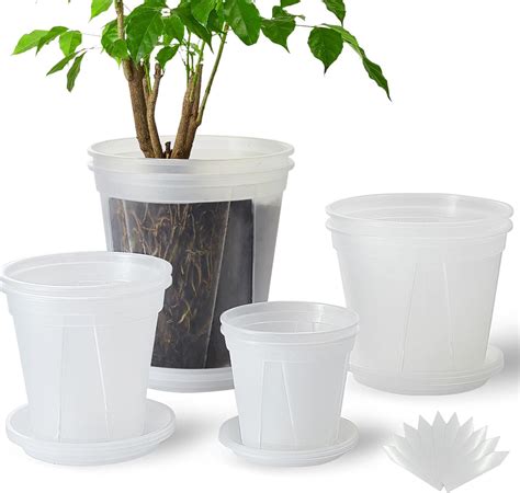 Amazon.com: TineDew 8 pcs 8/7/6/5 inch Clear Nursery pots for Plants ...
