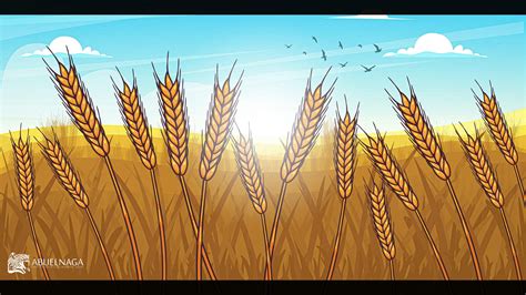 Field 的图像结果