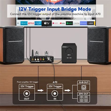 AIYIMA A70 Balanced Stereo Amplifier with India | Ubuy