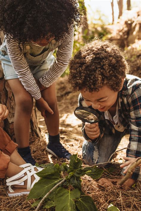 Creative Learning 的图像结果