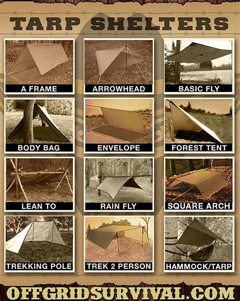 Image result for Different Types of Survival Shelters