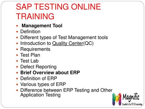SAP Testing Training 的图像结果