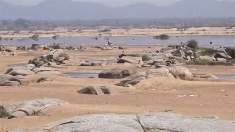 Mahanadi water dispute: River originates in Chhattisgarh, all water ...