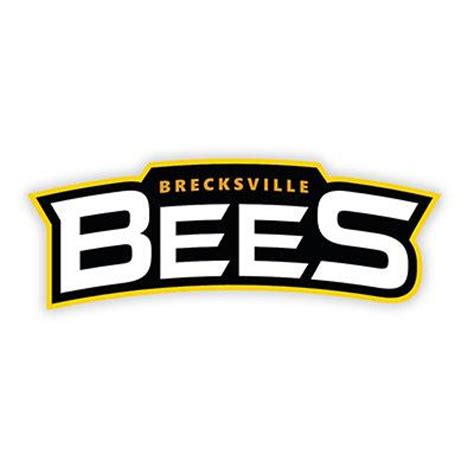 Bees Baseball
