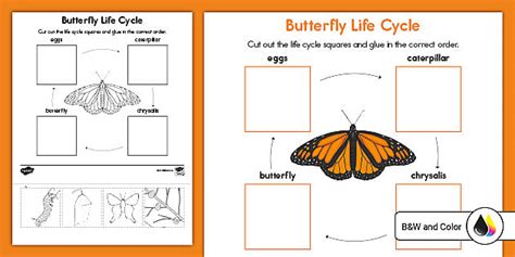 Butterfly Cut and Paste Activity for Kids | Twinkl USA