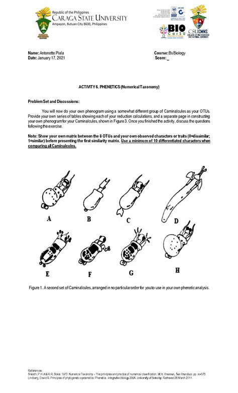 Image result for Numerical Systematics