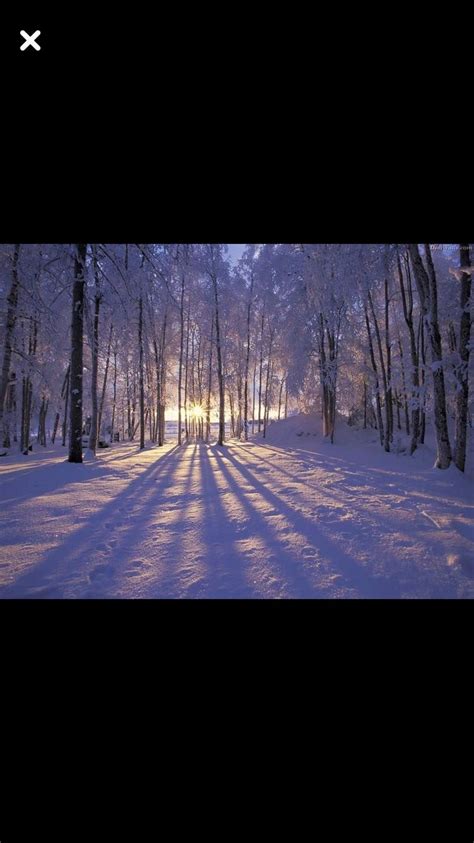 SLCC September 2024 Meeting, Sand Lake Elementary, Anchorage, 9 ...