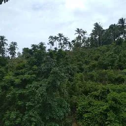 Best Top Rated Water park in Kondotty, Kerala, India | Yappe.in