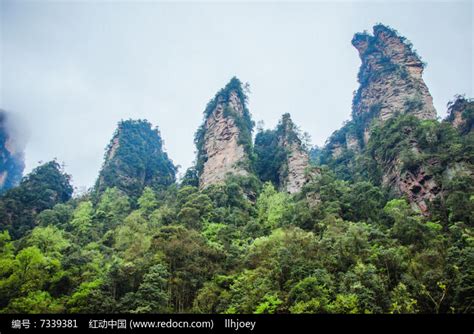 这是张家界海拔最高的一座山，里面藏着很多洞|张家界|天门|天门洞_新浪新闻