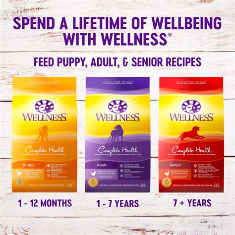 Wellness Complete Health Dry Dog Food With Grains Made In | Desertcart ...