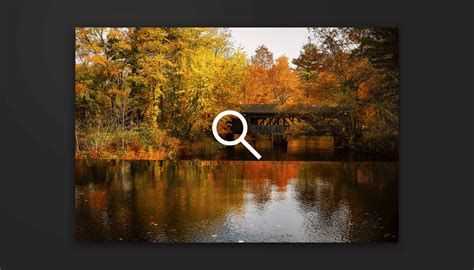 Image result for Developer Mode Browser