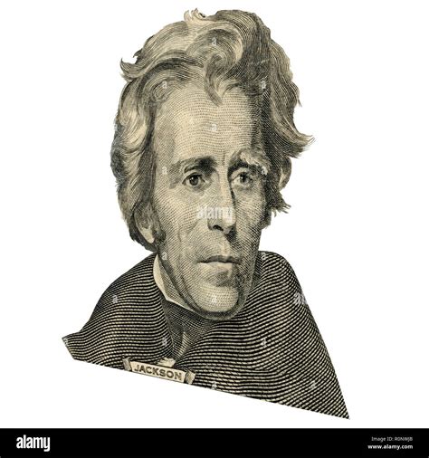 Portrait of former U.S. president Andrew Jackson as he looks on twenty ...