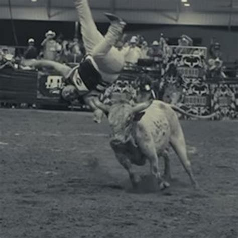 U.S. Rep. Troy Nehls announces he's leaving Congress after current term ...