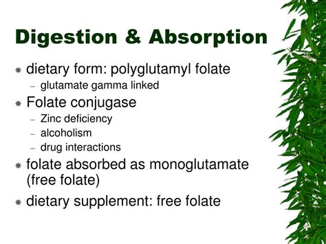 Image result for Folate Water-Soluble