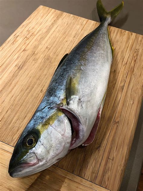 What Does Yellowtail Taste Like