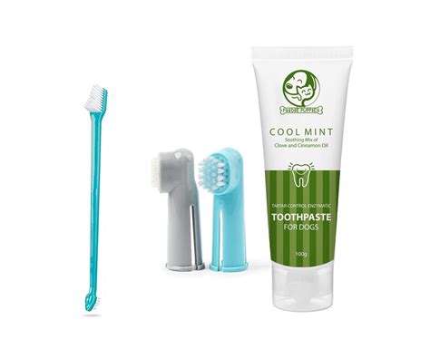 Foodie Puppies Cool Mint Toothpaste and Toothbrush Combo for Dogs ...