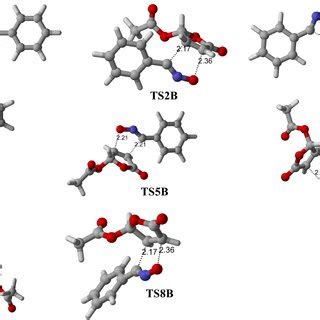 Transition State Analog 的图像结果