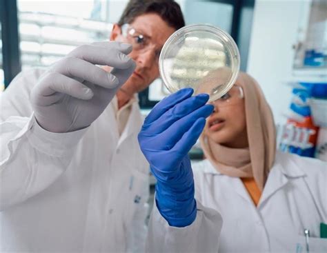 Global Code Of Conduct | Boehringer Ingelheim IN