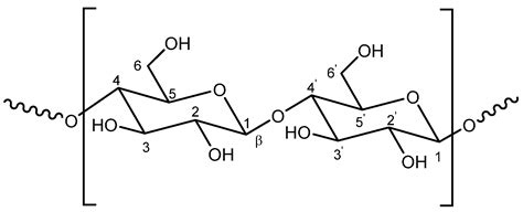 Cellulose Amphiphilic Materials: Chemistry, Process and Applications