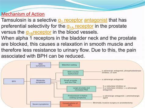 Presentation Tamsulosin | PPTX