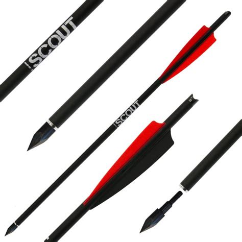 FMA Supersonic Crossbow Bolts Bodkin Scout – IndoArchery.com