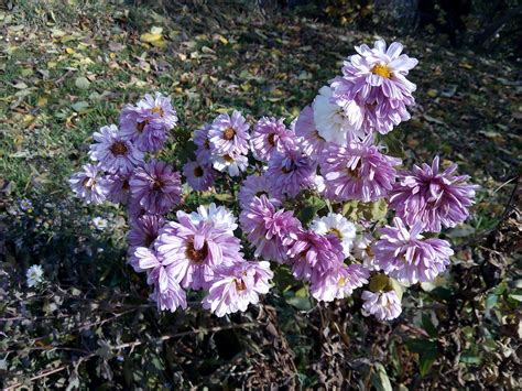 Image result for T6 Pro Installer Setup