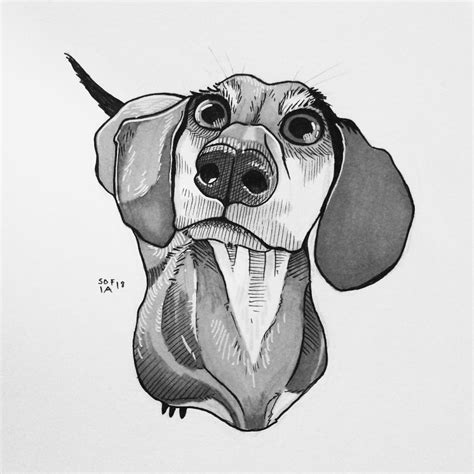 Cool Drawings of Dogs 的图像结果