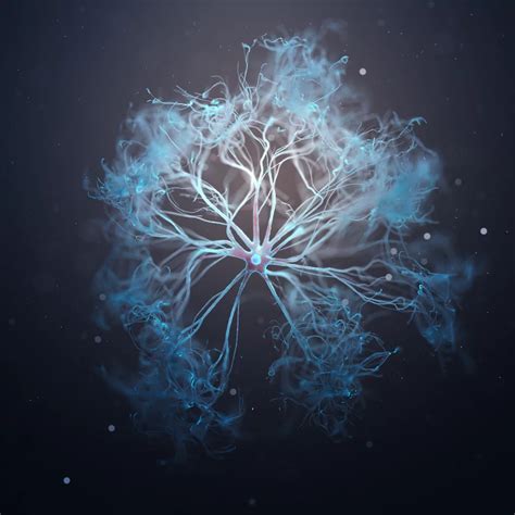 Image result for Astrocyte