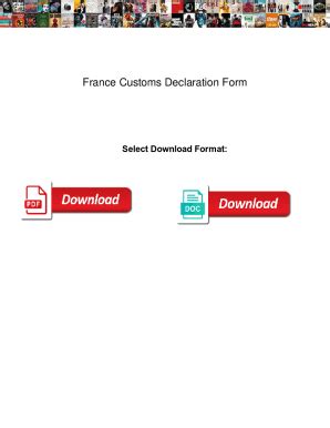 Fillable Online France Customs Declaration Form. France Customs ...