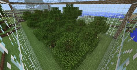 Image result for Tree Farm MC