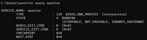 Image result for Print Spooler Command