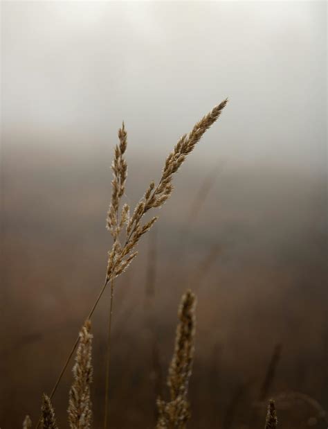 Techy Background 的图像结果