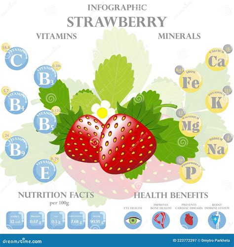 Health Benefits and Nutrition Facts of Strawberry Infographic Vector Illustration. Stock Vector ...