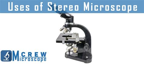 Image result for Stereo Microscope Uses