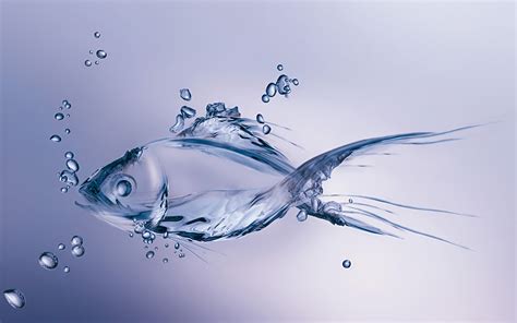 Fish in Water Wallpaper - WallpaperSafari