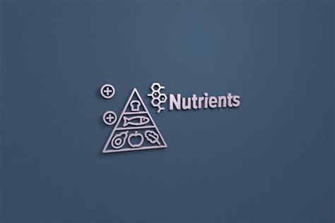 Why Do We Need Nutrients? A Deep Dive Into Their Essential Functions
