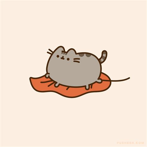 Pusheen the cat