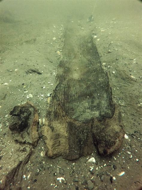 Up to 11 ancient canoes found in Madison's Lake Mendota, archaeologists say - WPR