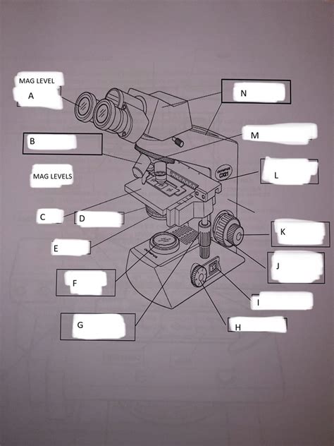 Image result for Introduction to Microscope Lab Answer Key