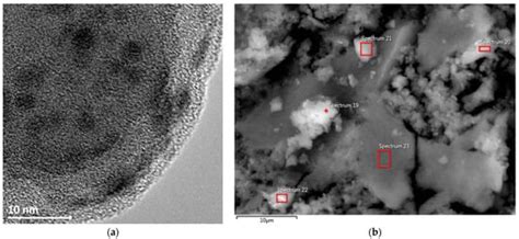 Selective Catalytic Hydrogenation of Vegetable Oils over Copper-Based ...